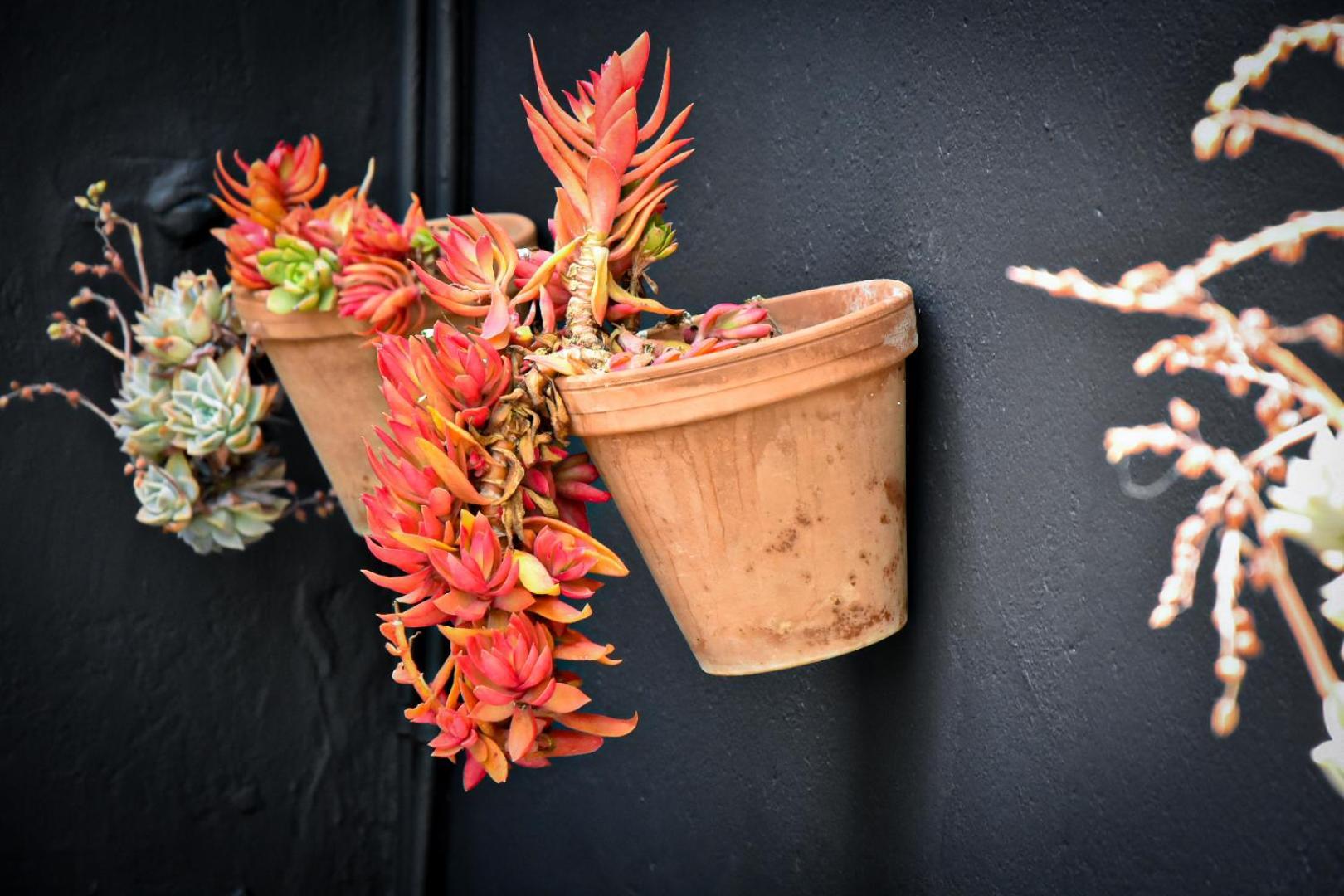 Beautiful Betty Guesthouse Beaufort West Exteriör bild